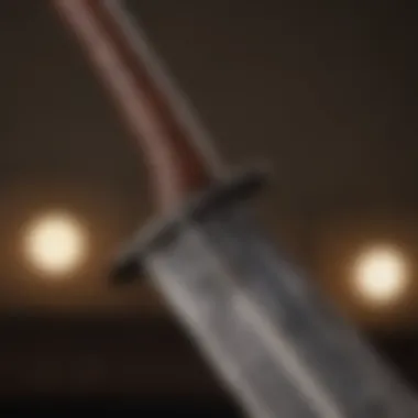 Arya Stark's Needle sword