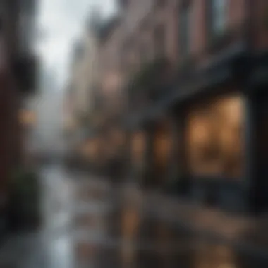 Bustling Streets of Flea Bottom Filled with Intrigue Flea Bottom's bustling streets filled with intrigue