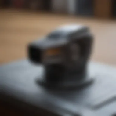 Unveiling the Symbolic Meaning of Sansa's Charger Sansa Charger Symbolism