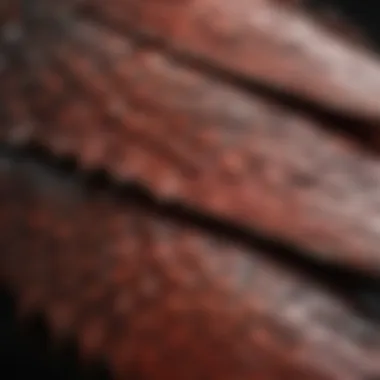 Detailed close-up of Redclaw's intricate scales