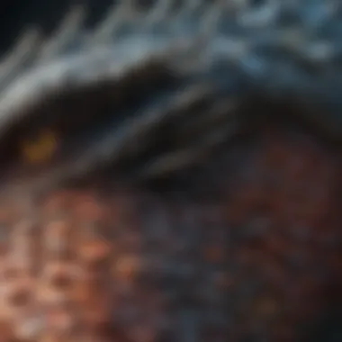 Enigmatic Dragon Scales Enigmatic Dragon Scales