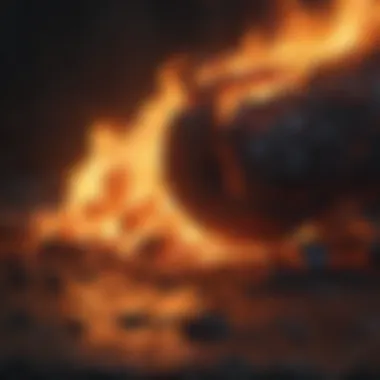 Glowing Embers of Transformation Burning embers glowing in the night