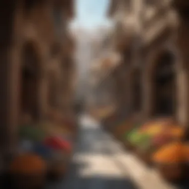 The Exotic Markets of Qarth Qarth's opulent marketplaces brimming with exotic goods
