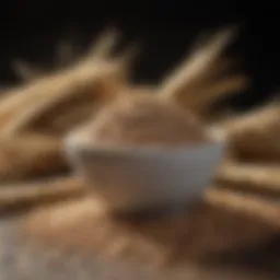Nutritional content of bran showcasing fibers and vitamins