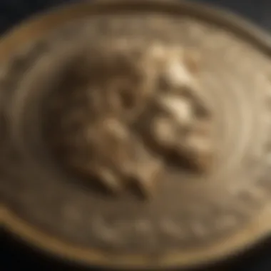 A detailed representation of a Lannister gold coin with intricate engravings.