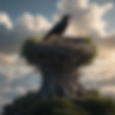 Nest Among the Clouds: The Ethereal Realm An artistic depiction of the crow nest amidst the clouds