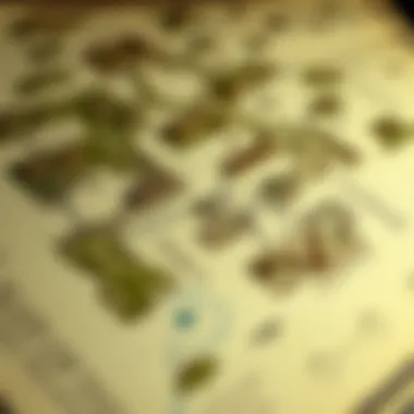 Lore Map An intricate map detailing the lore and locations relevant to the prequel's narrative.