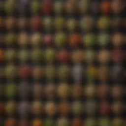 A variety of dried herbs used in herbal teas