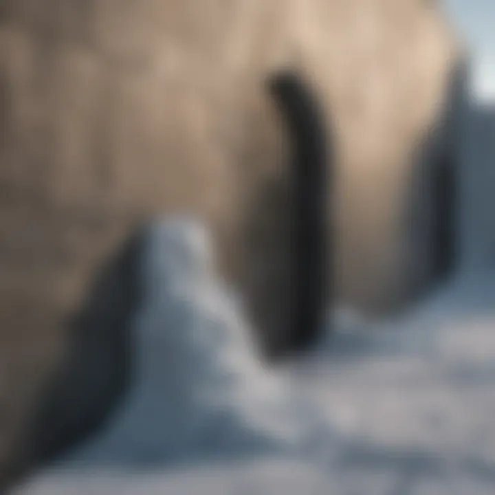 The haunting beauty of the Wall against a backdrop of snow and ice