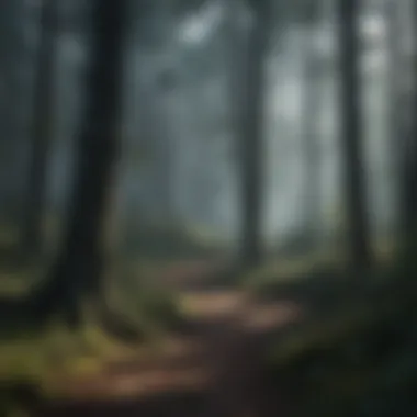 The Enigmatic Landscape of the Black Woods A dense, shadowy forest with towering trees, evoking a sense of mystery and isolation.