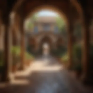 Dorne: The Land of Sun and Secrets The lush and mystic landscapes of Dorne, reflecting its unique culture and climate in contrast to other regions.