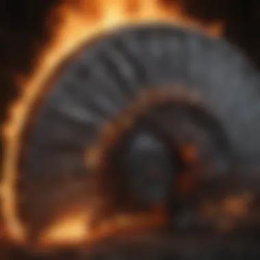 Fan Interpretations of the Duality Fan Interpretations of Fire and Ice