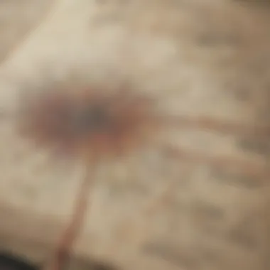 Intriguing Fan Theories Mind Map Game of Thrones fan theories mind map with interconnected threads