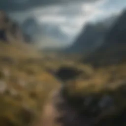 A stunning landscape of the Game of Thrones world showcasing the intricate details of its setting.