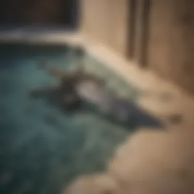 Fractured Unity A shattered sword half-submerged in a pool of shadow and light, symbolizing the fractured unity within the Houses of Westeros