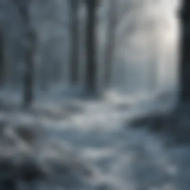 Frozen Whispers of Winter Ice and Snow Spell