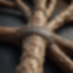 Illustration showcasing the intricate web of alliances in Game of Thrones Season 5