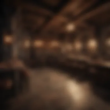 Medieval-inspired Game of Thrones bar interior