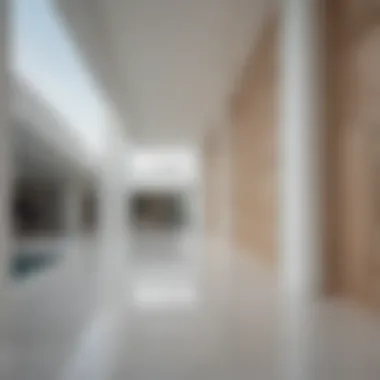 Sleek Elegance of White Wood Modern Architecture Featuring White Wood Accents