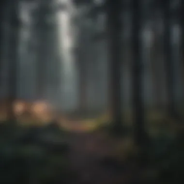Twilight Enigma Mysterious Northern Woods at Dusk
