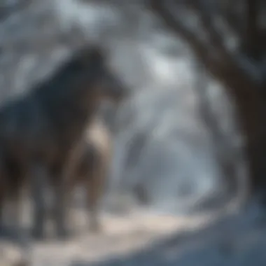 Mystical Creatures Beyond the Wall Mystical Creatures Beyond the Wall