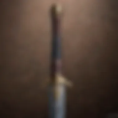 Detailed examination of Ned Stark sword