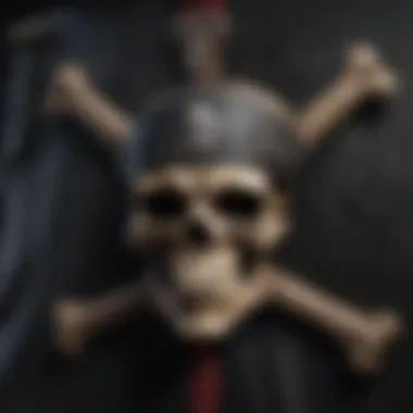 The Dreaded Jolly Roger of the Pirate King Pirate King's Infamous Jolly Roger Flag