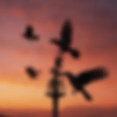 Silhouettes of ravens flying against a crimson sky