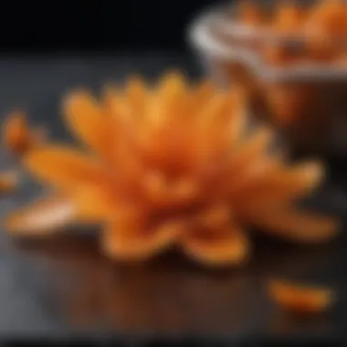 The Culinary Importance of Saffron Flower A vibrant saffron flower representing its culinary importance