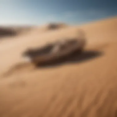 Unique Sand Sledge Design Inspired by Desert Dunes