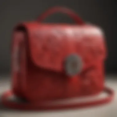 Fashionable Crossbody Bag with Floral Embossing Stylish Crossbody Bag with Embossed Floral Motif