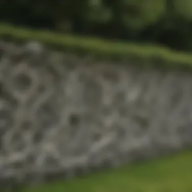 Intricate carvings on a stone hedge, reflecting ancient culture