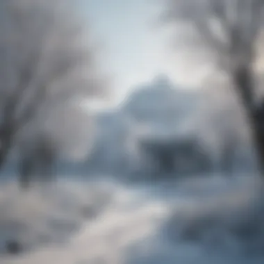 Serenity in a Winter Wonderland A serene winter landscape setting for a wedding ceremony
