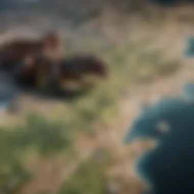 Dragonriding Locations in Westeros An intricate map of Westeros highlighting dragon riding locations