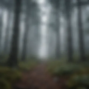 The Enigmatic Northern Woods A dense forest in the North of Westeros, showcasing tall pines and a misty atmosphere.