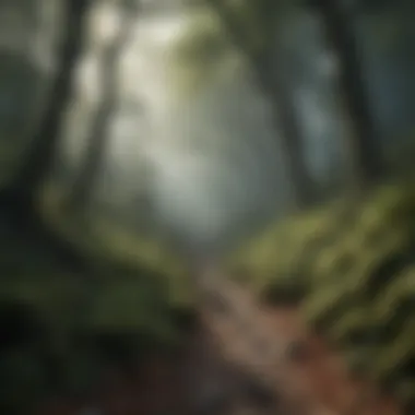 The Mysterious Woods of the Vale A misty woodland in the Vale, with steep cliffs and hidden paths, evoking a sense of mystery.
