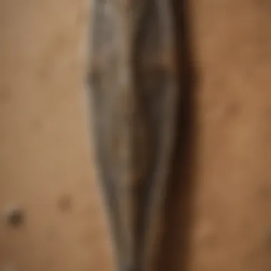 A detailed view of a sand spear showcasing its intricate design and craftsmanship.