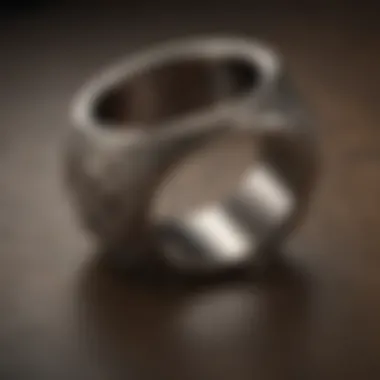 Symbolism of Robert Manse Rings Symbolic representation of Robert Manse Rings in Game of Thrones