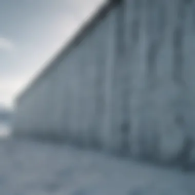 The Wall: A Barrier of Ice and Isolation The Wall towering over the icy landscape
