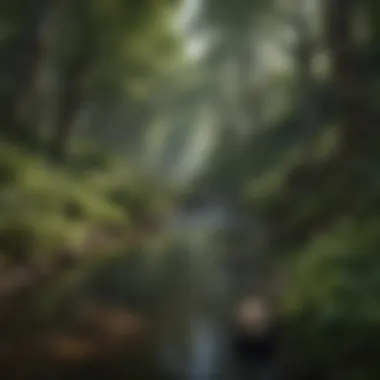 The Tranquil Essence of Riverspring A serene riverspring flowing through a lush forest