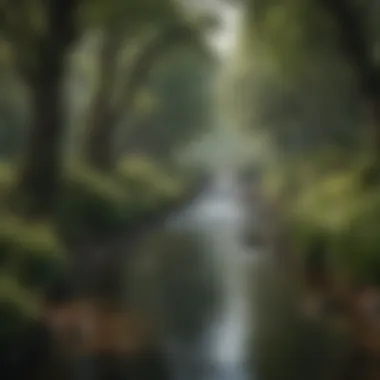 Riverspring: A Metaphor for Life's Journey An artistic representation of riverspring as a metaphor for life and destiny