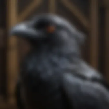 Mysterious Three-Eyed Raven Symbol