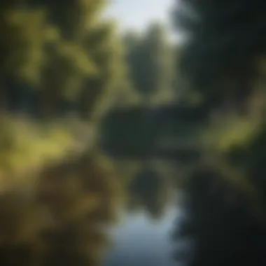 Tranquil Pond Reflections at Castlewood Inn