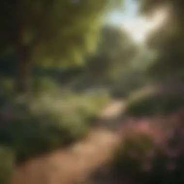 Summer Blossoms: Abundance in the Reach The lush greenery of summer in the Reach, showcasing blooming flora.