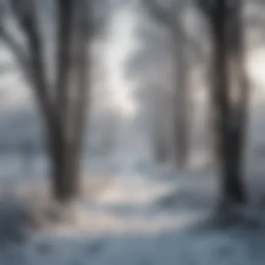 The Stark Winter: A Harbinger of Change A sweeping view of the Stark influenced winter landscape of the North.