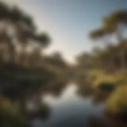 A panoramic view of the Riverland's lush landscapes