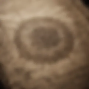 Cryptic Engravings on Ancient Parchment Mysterious engravings on ancient parchment