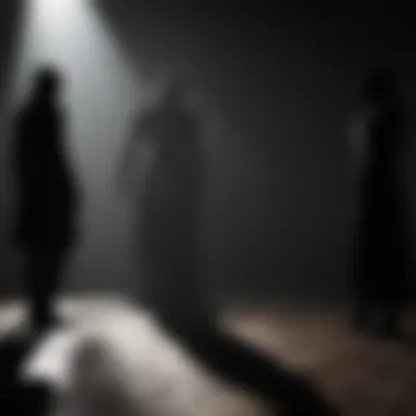 Intriguing Shadows and Silhouettes Shadows dancing around a mysterious silhouette