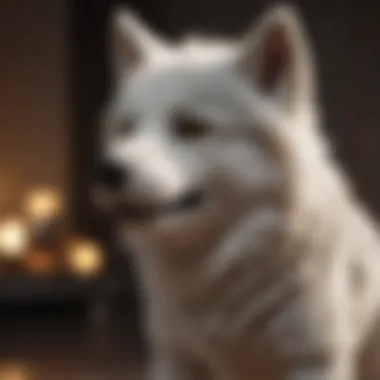 Adorable Direwolf Plushie Direwolf plush toy from Game of Thrones