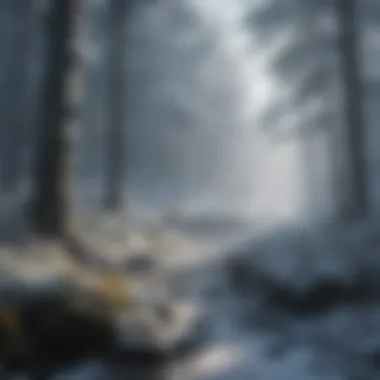 Mystical Winter Forest Illustration